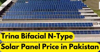 Trina Bifacial N-Type